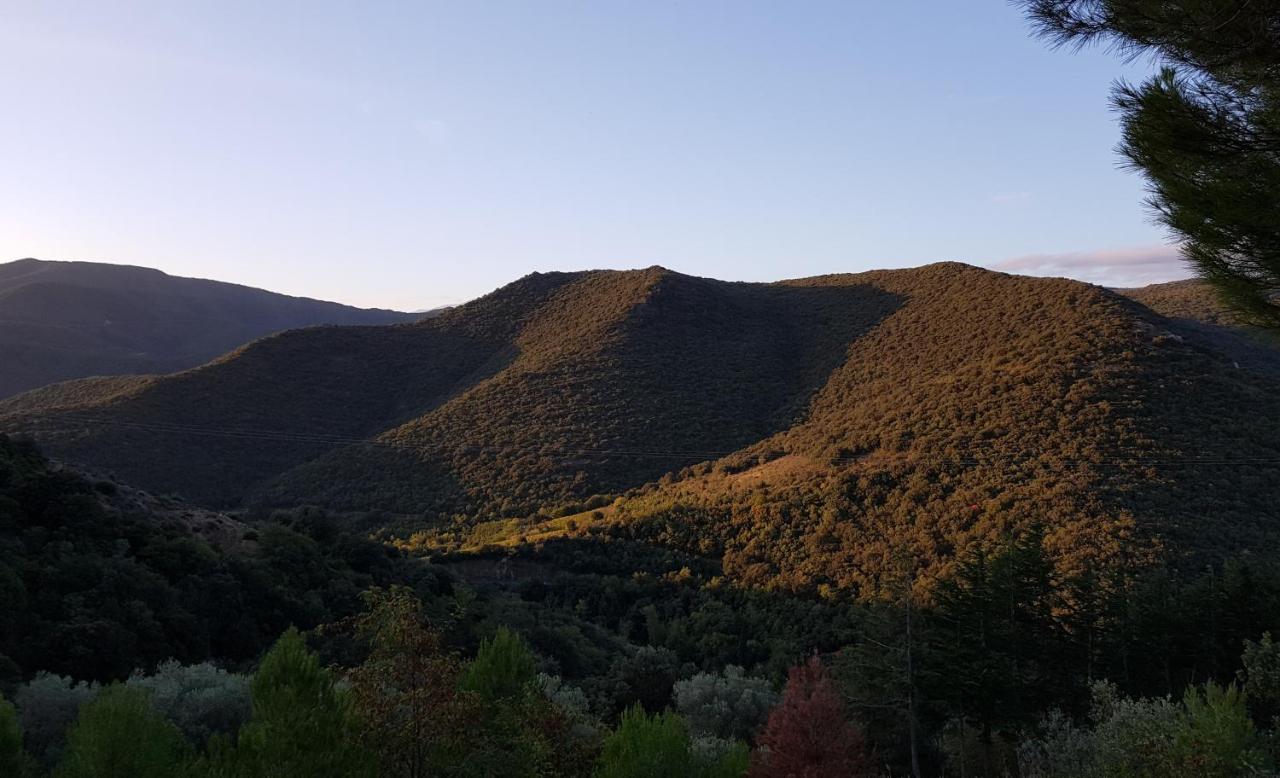 Felluns Gites-Terroirs-Occitanie Grenache المظهر الخارجي الصورة